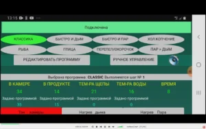 Выбор автоматической программы в термокамере умный дым